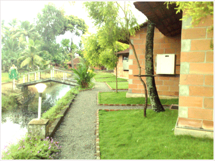 kerala-resort.gif